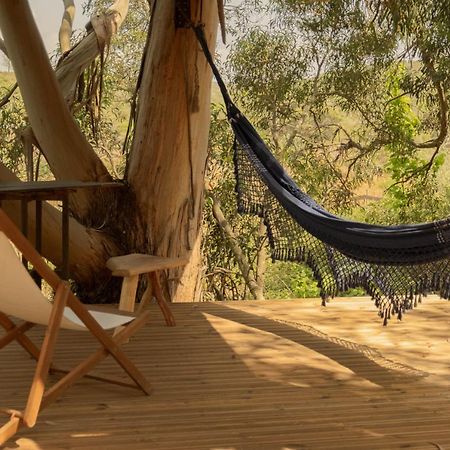 Soul Farm Algarve - Glamping & Farm Houses Алжезур Екстериор снимка
