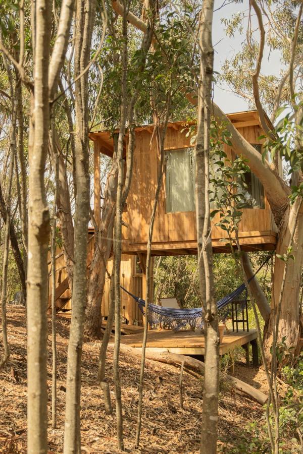 Soul Farm Algarve - Glamping & Farm Houses Алжезур Екстериор снимка