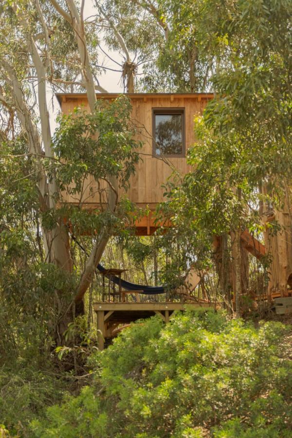 Soul Farm Algarve - Glamping & Farm Houses Алжезур Екстериор снимка