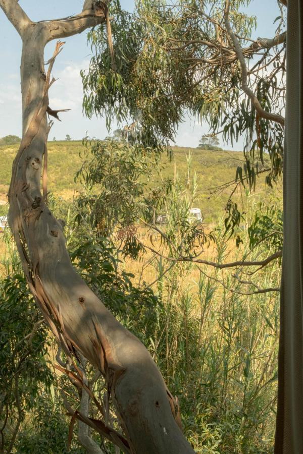 Soul Farm Algarve - Glamping & Farm Houses Алжезур Екстериор снимка