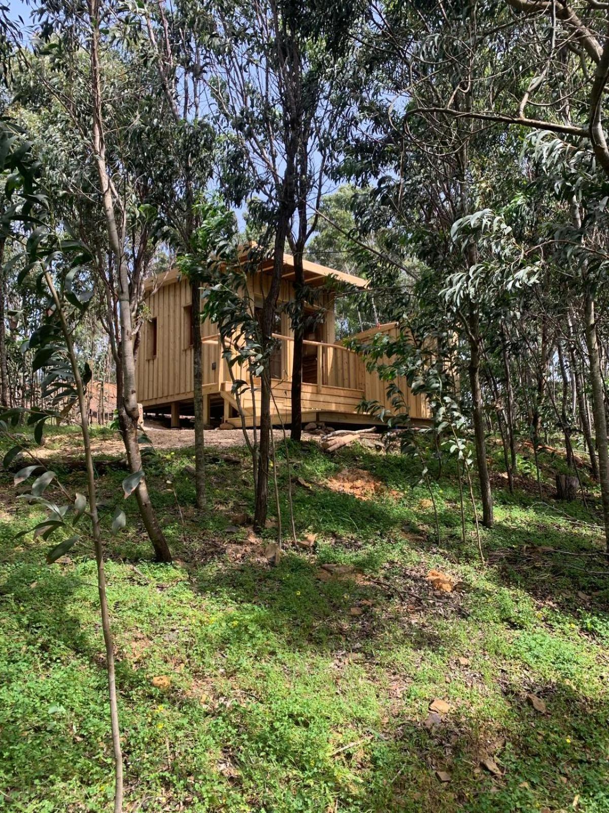 Soul Farm Algarve - Glamping & Farm Houses Алжезур Екстериор снимка